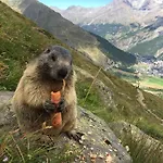 Etoile & Alpenperle Residences 3*