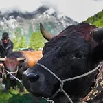 Etoile & Alpenperle Residences Hotel Saas-Fee