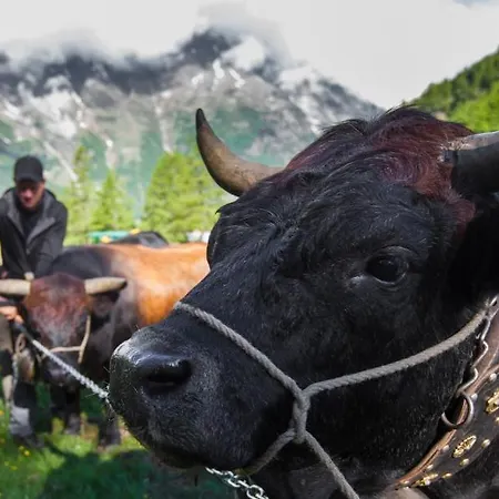 Etoile & Alpenperle Residences 酒店 萨斯费