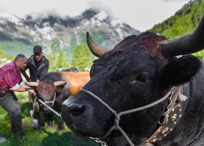Alpenlodge Etoile Hotel Saas Fee